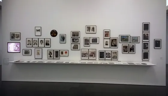 Exhibition The Beast and the Sovereign, presentation Masist Gül