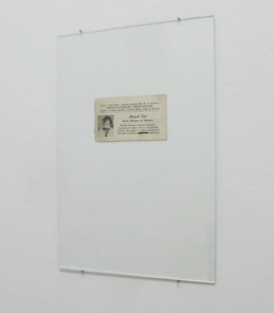 Excavate and be Damned? An installation