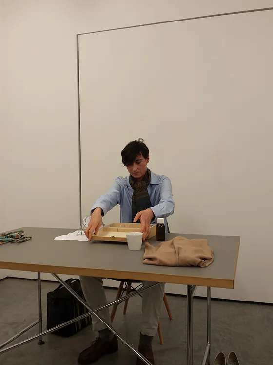 Regarding David at Het Nieuwe Instituut and Gallery Tegenboschvanvreden