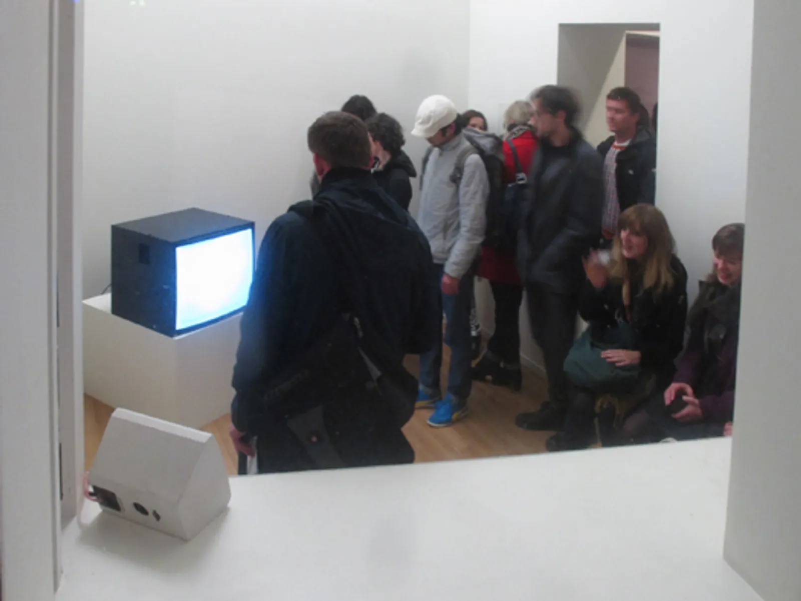 Adaptation: Exhibition
