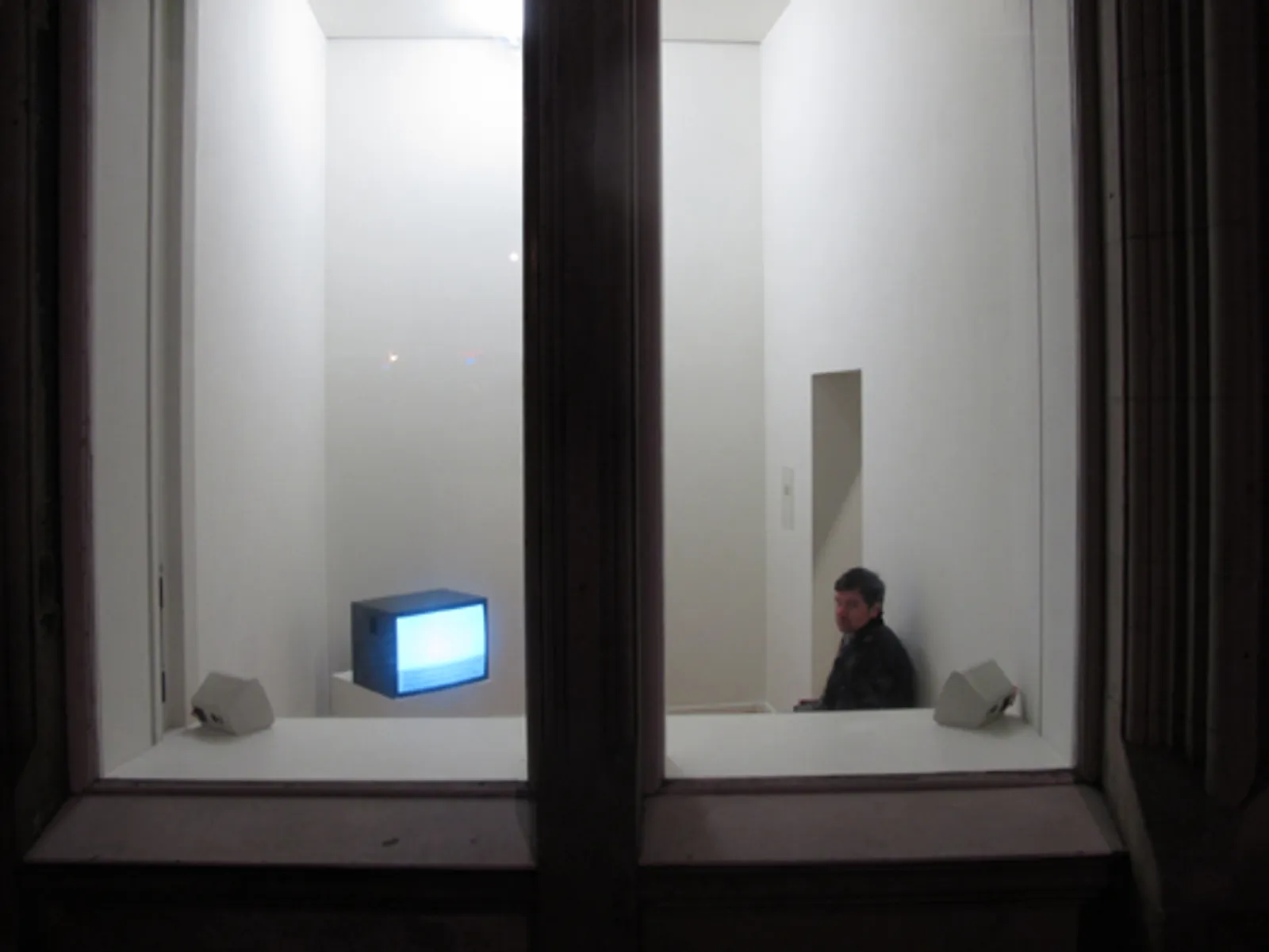 Adaptation: Exhibition