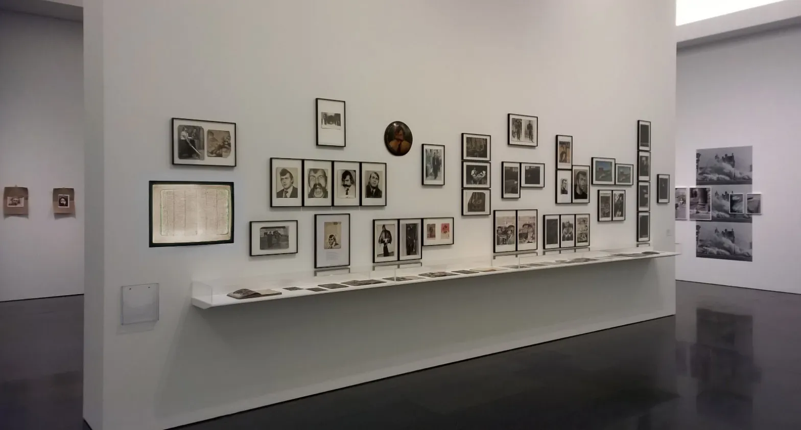 Exhibition The Beast and the Sovereign, presentation Masist Gül