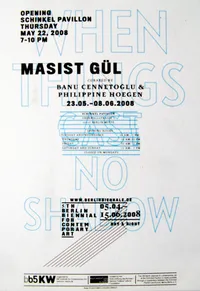 Masist Gül-Berlin Biennale 2008-Schinkel Pavillon